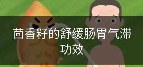 茴香籽的舒缓肠胃气滞功效